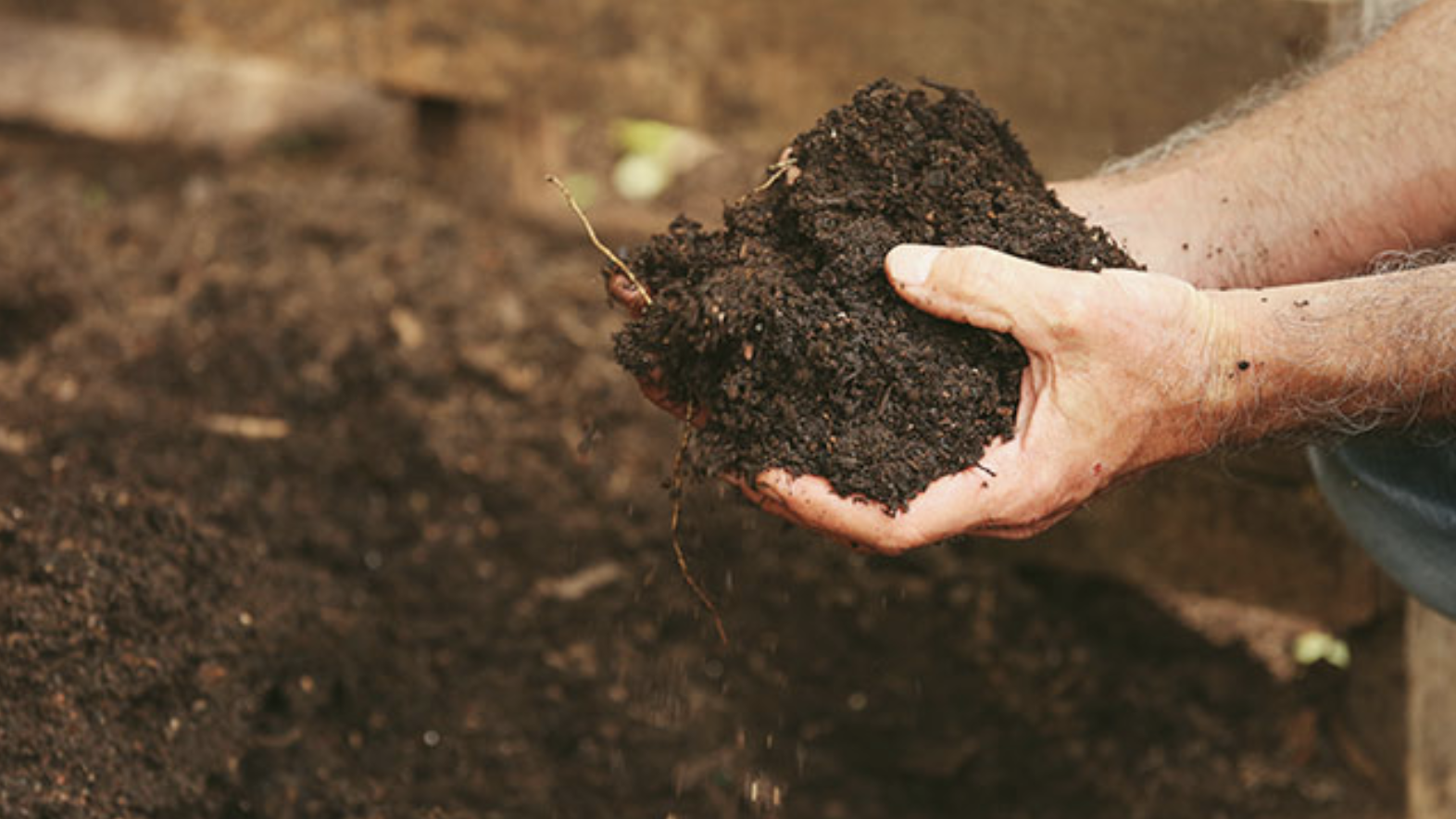 why good soil matters