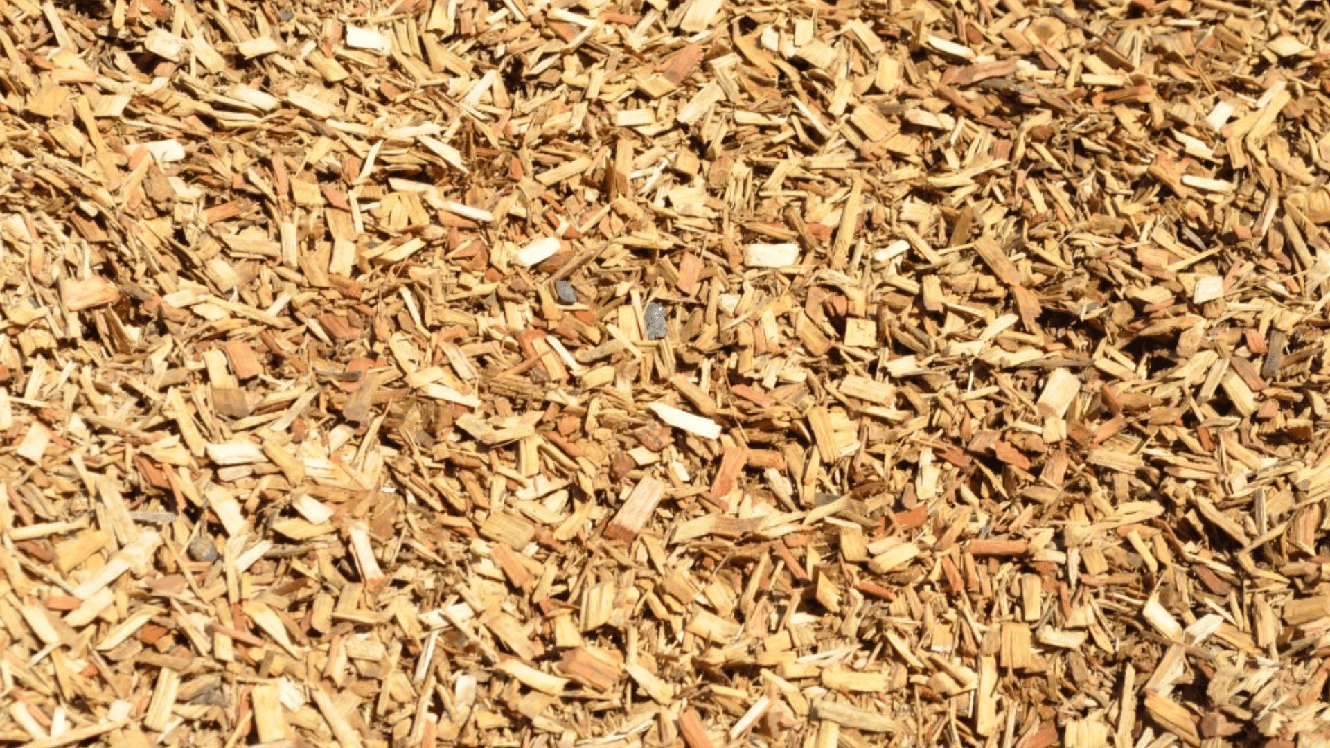 Eucalyptus Mulch