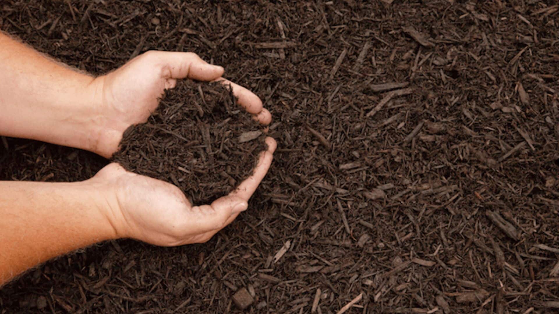 How to Make Mulch: A Step-by-Step Guide
