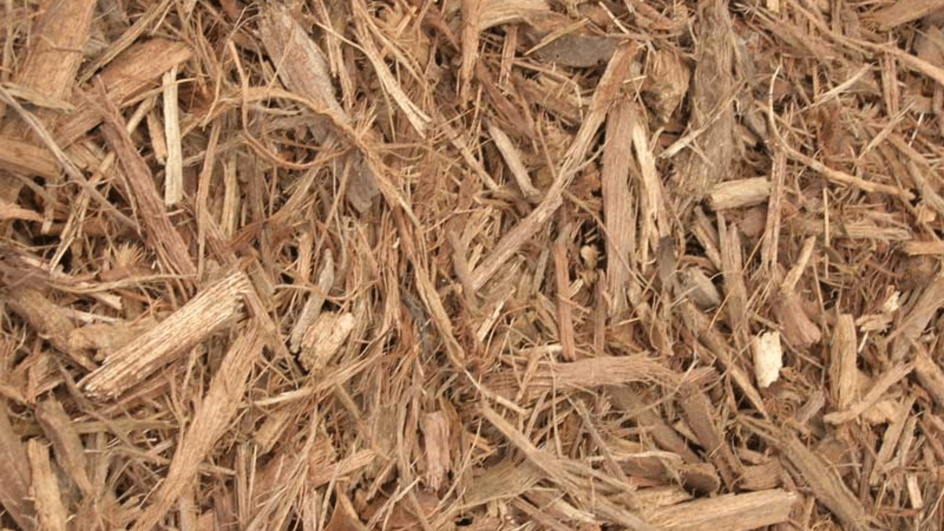 Melaleuca Mulch