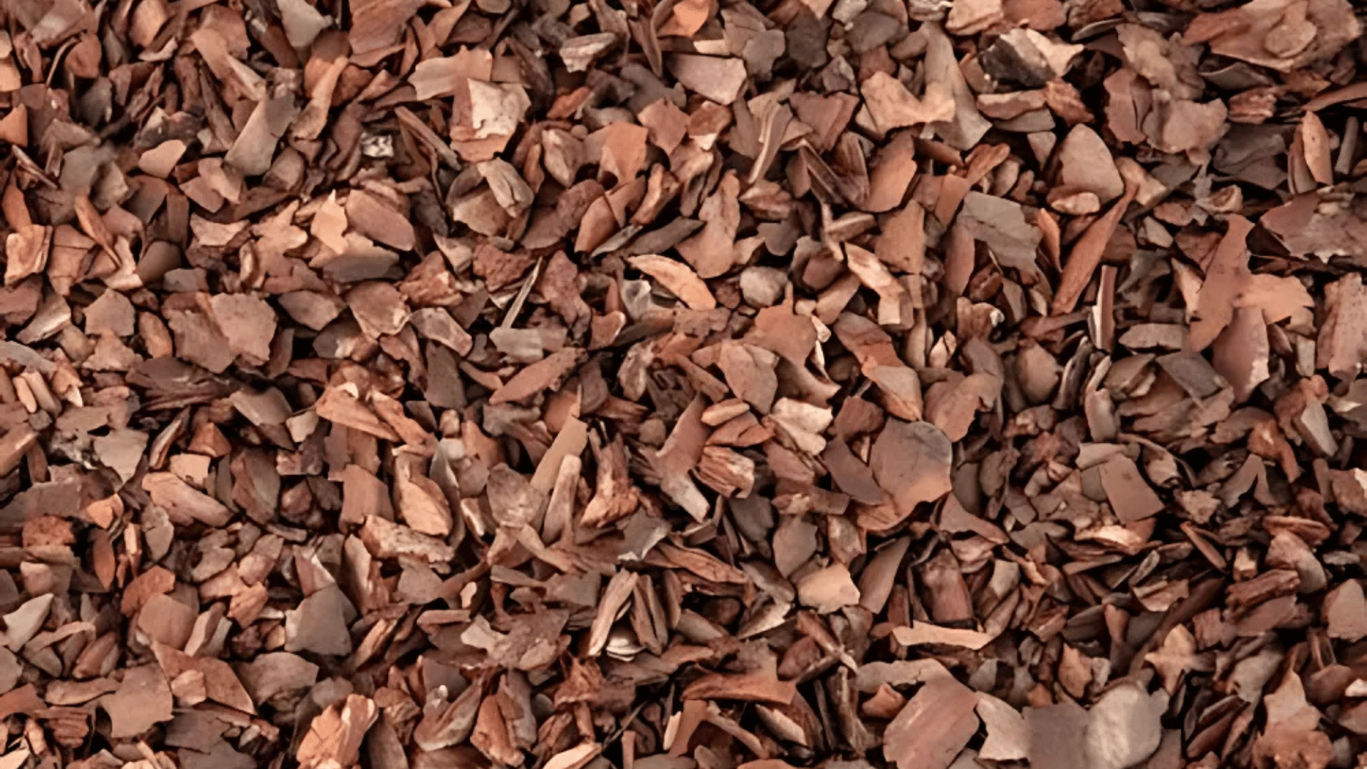 Pine Bark Mulch