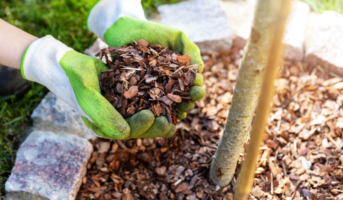 Practical Application Tips
