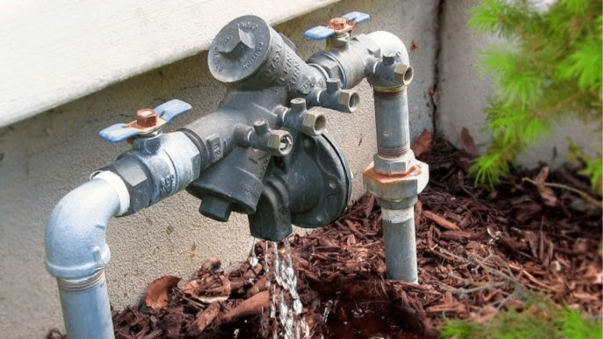Common Signs of Backflow Issues