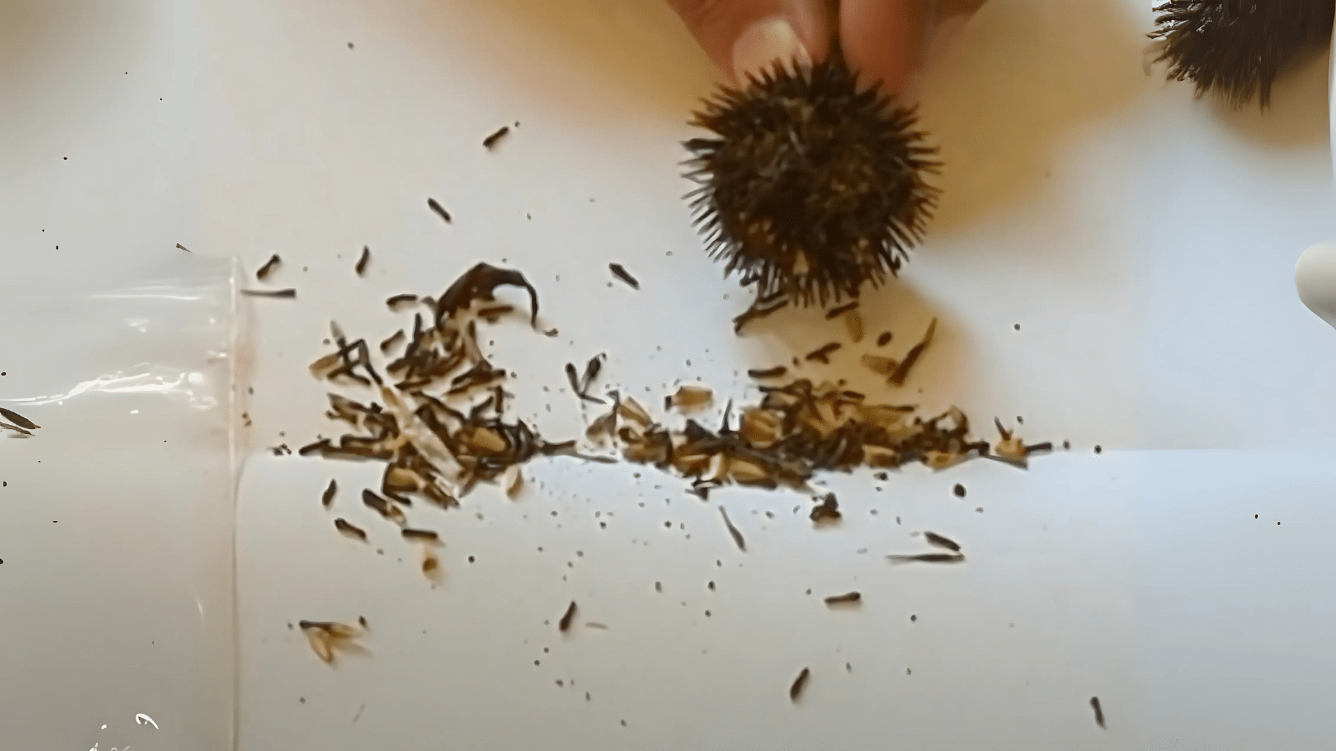 Dry the Seed Heads