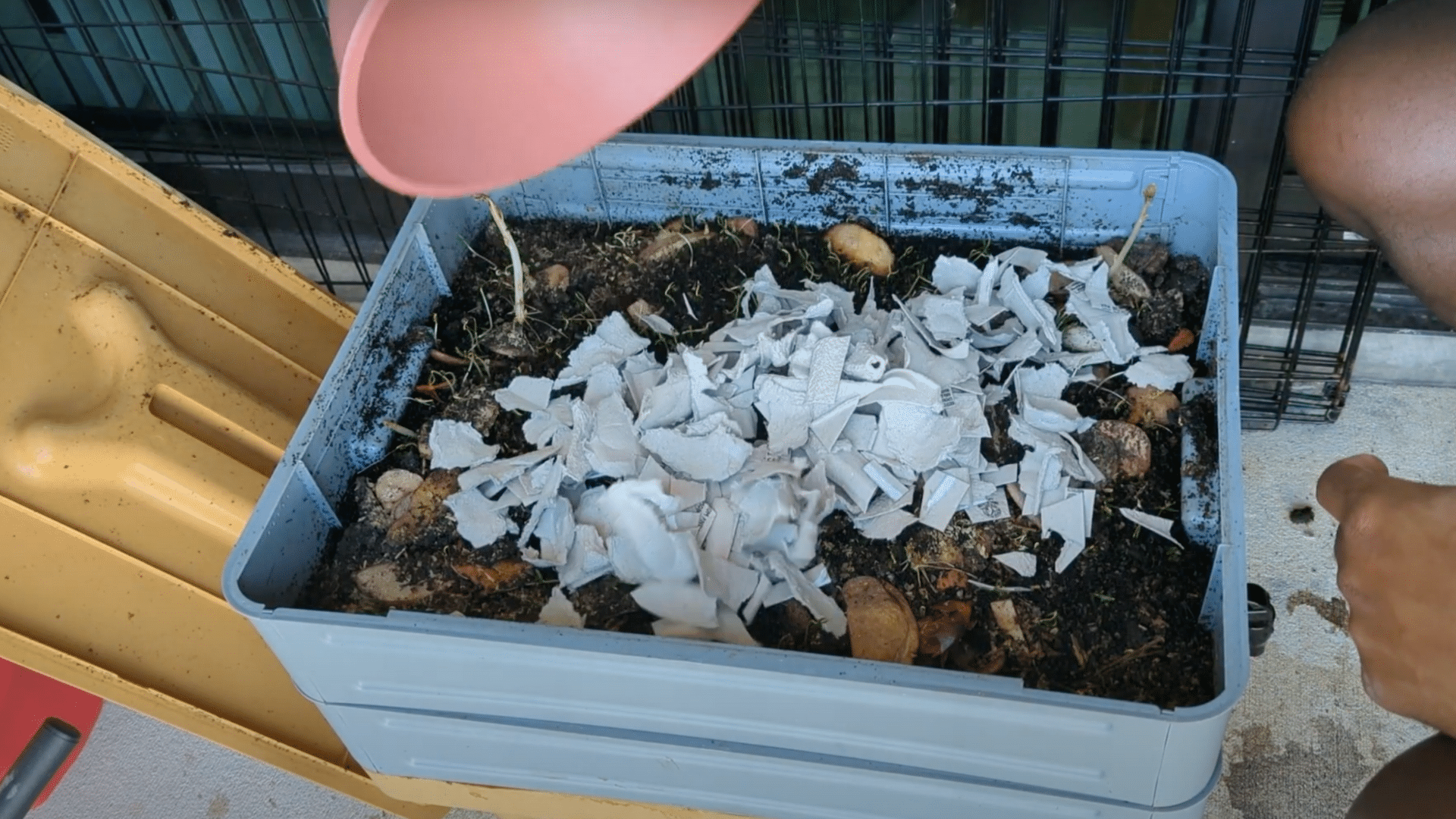 Egg Cartons Compostable- A Complete Guide