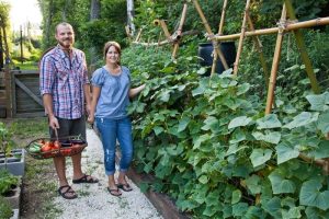 Grow Your Garden & Savings: Smart Ways to Save on Home and Garden Essentials