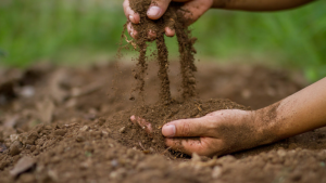 How Many Cubic Yards in a Ton of Topsoil?