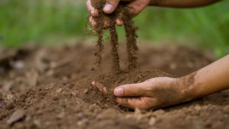 How Many Cubic Yards in a Ton of Topsoil?