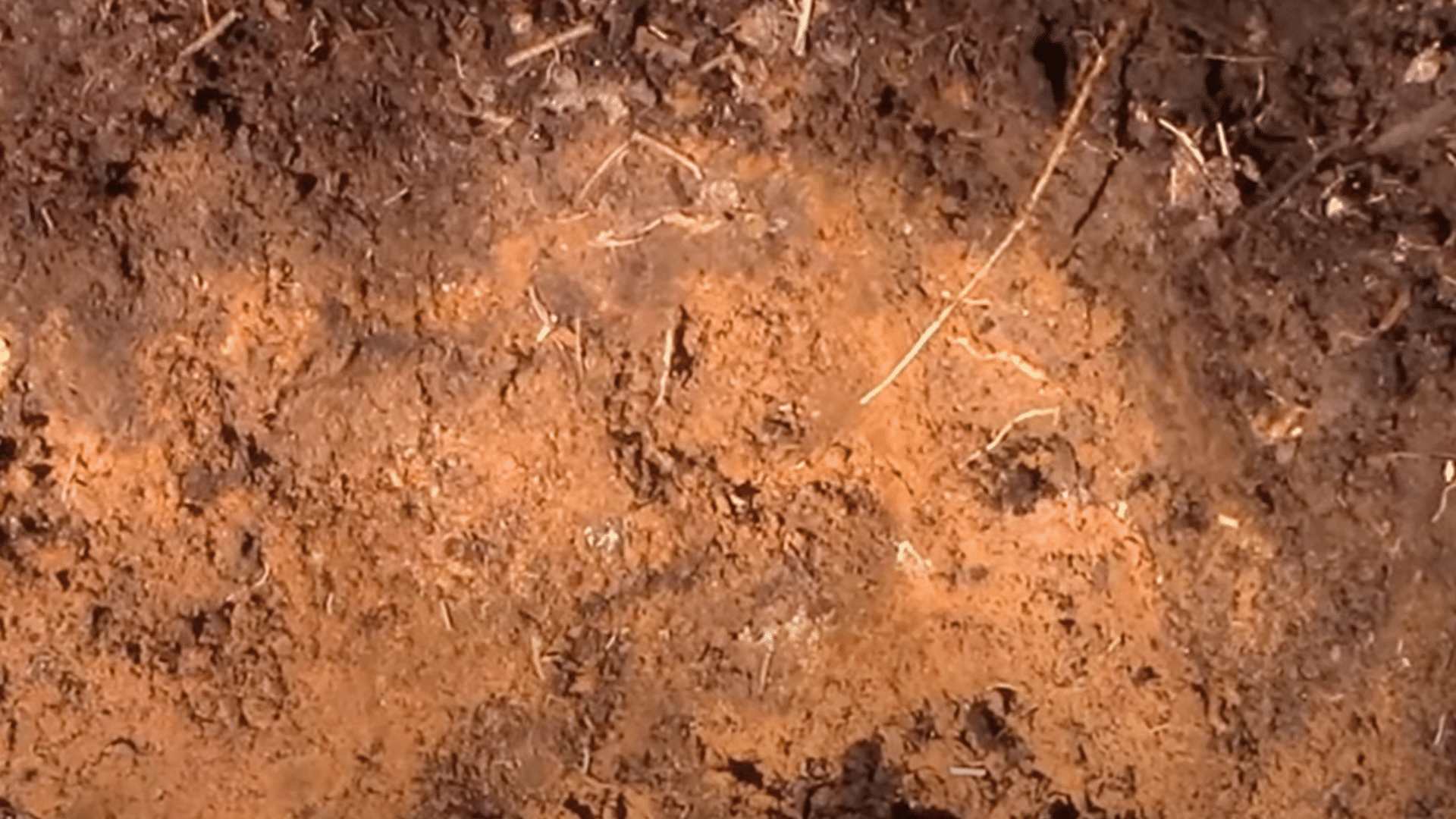 Moisten the Soil