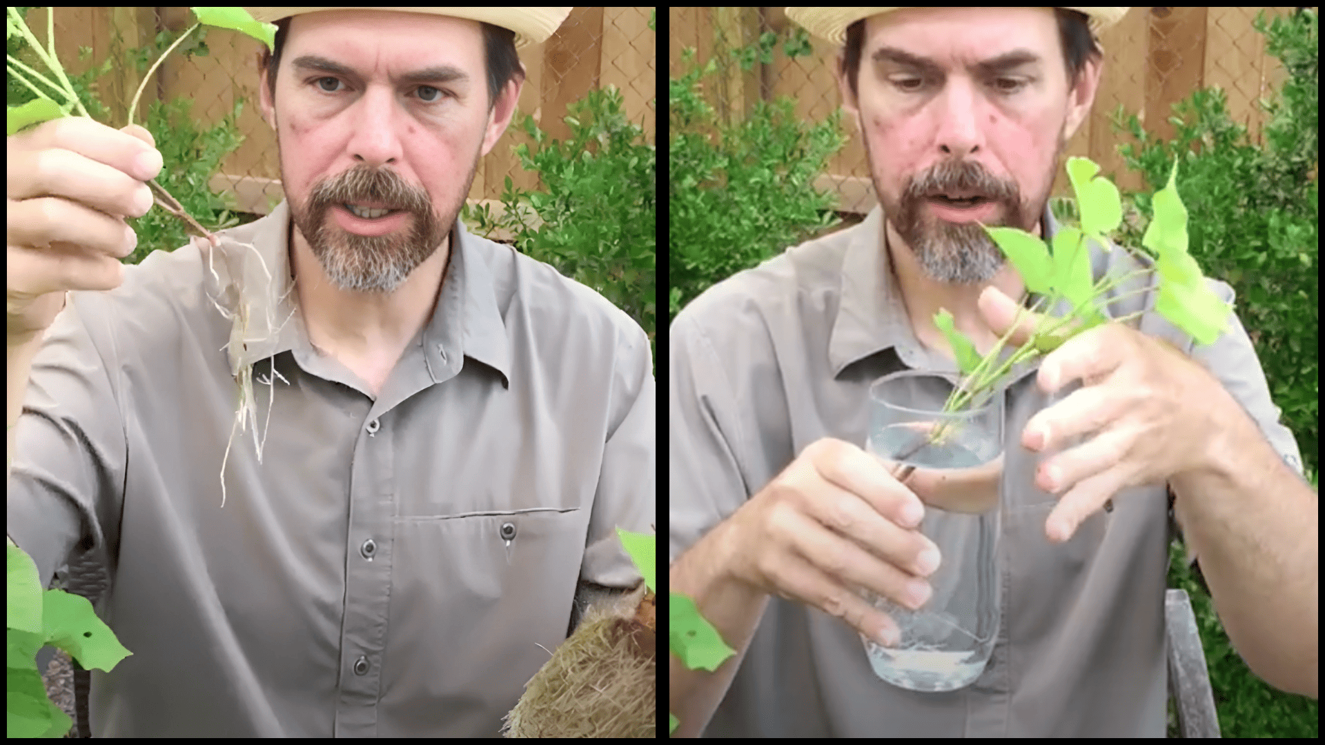 Remove and Root Your Slips
