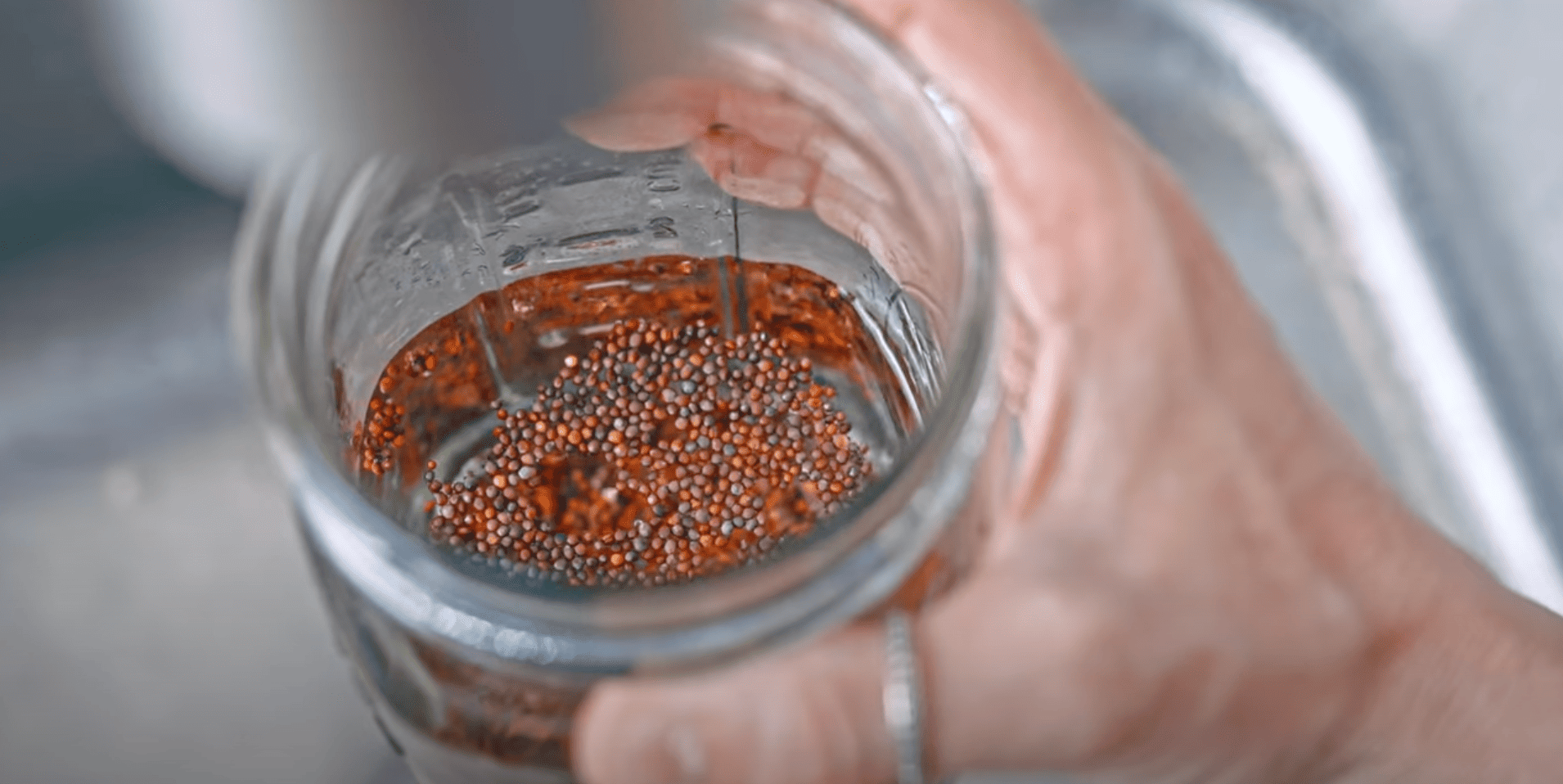 Soak the Seeds Overnight