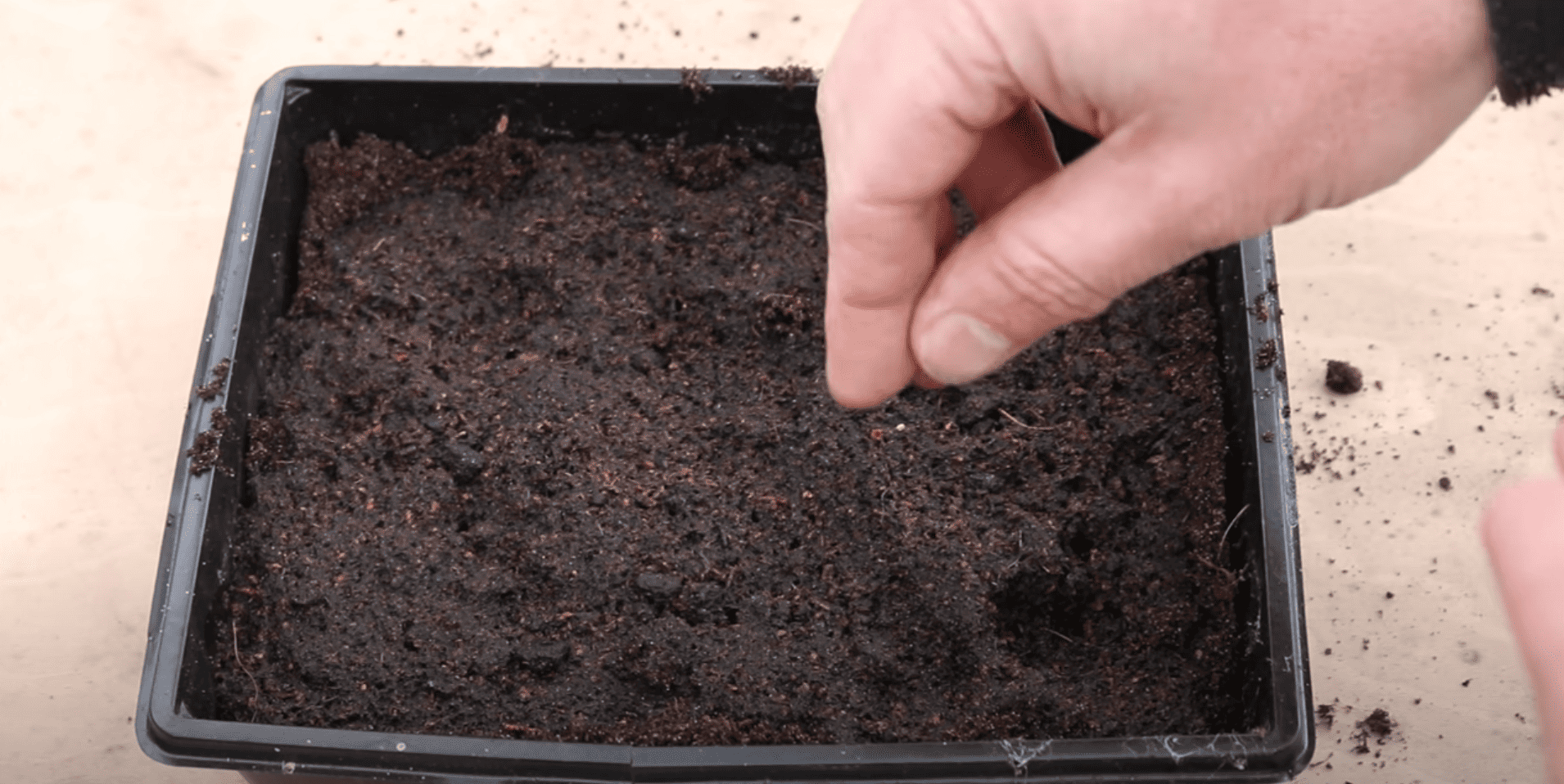 Sow the Thyme Seeds