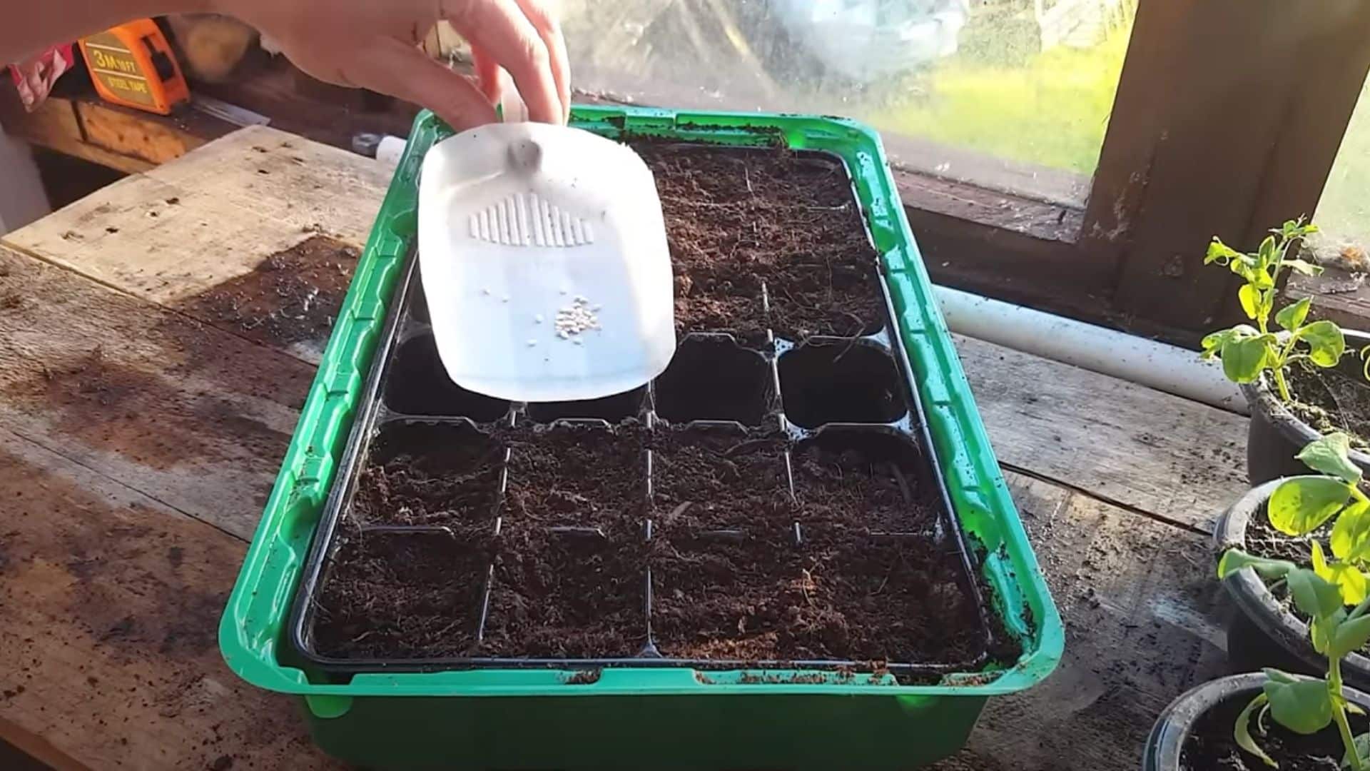 Start Seeds in Warm Soil