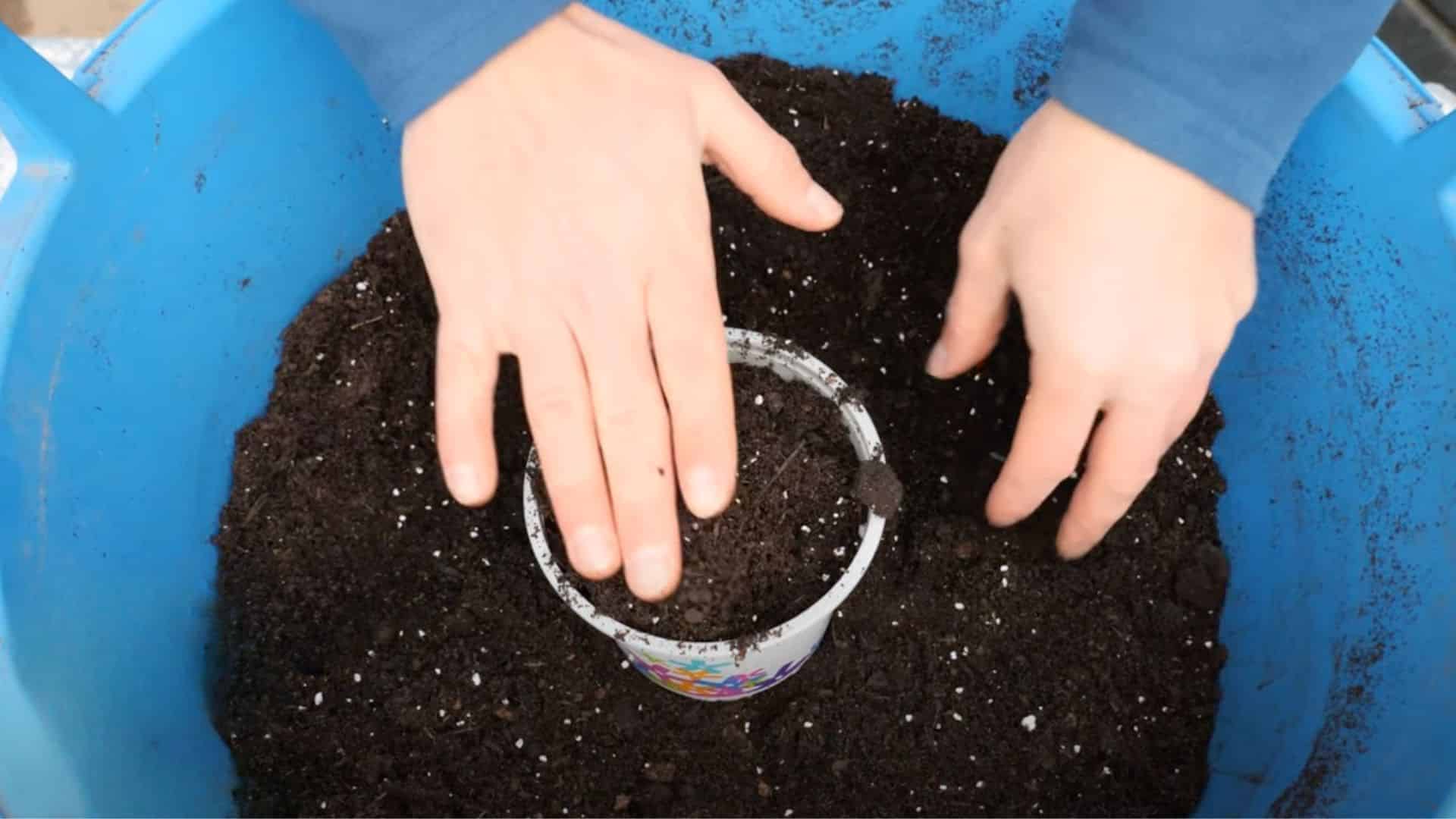 Step1-Choose-the-Right-Pot-and-Soil
