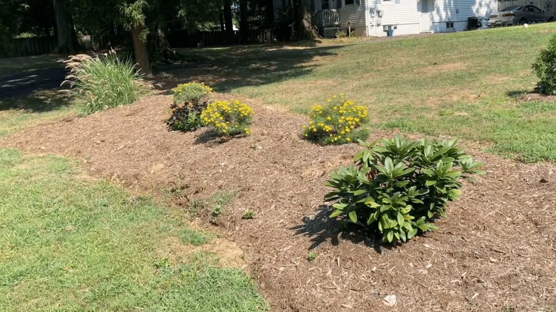 Add Landscaping Plants