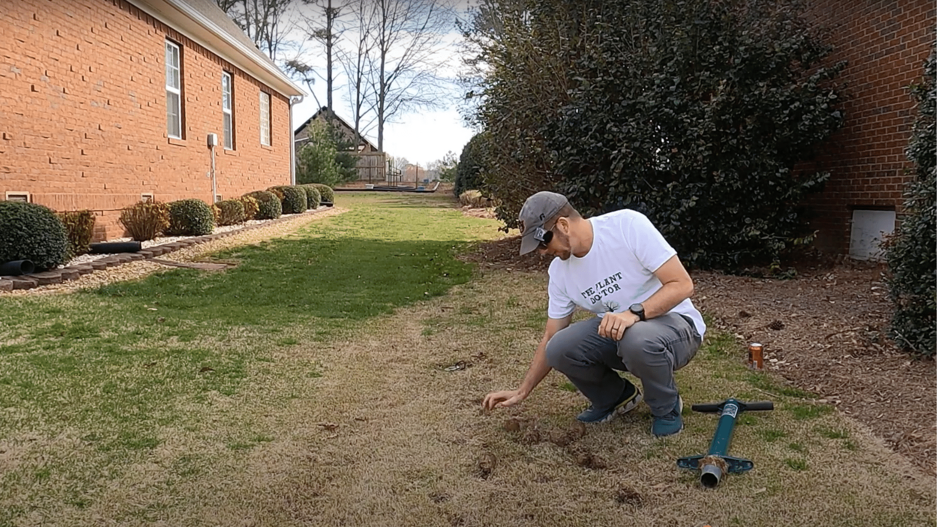 Refill Donor Holes with Bermuda