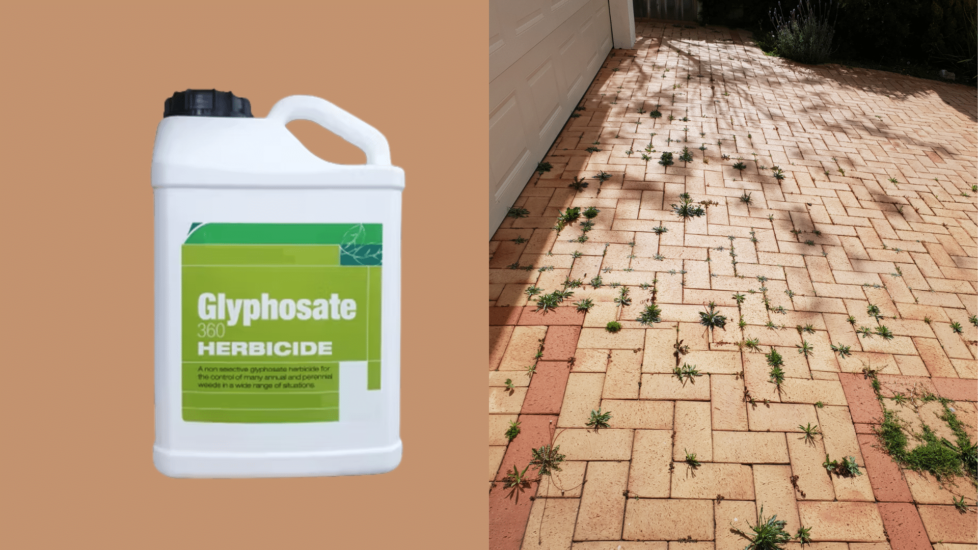 Try Chemical Herbicides for Stubborn Spots