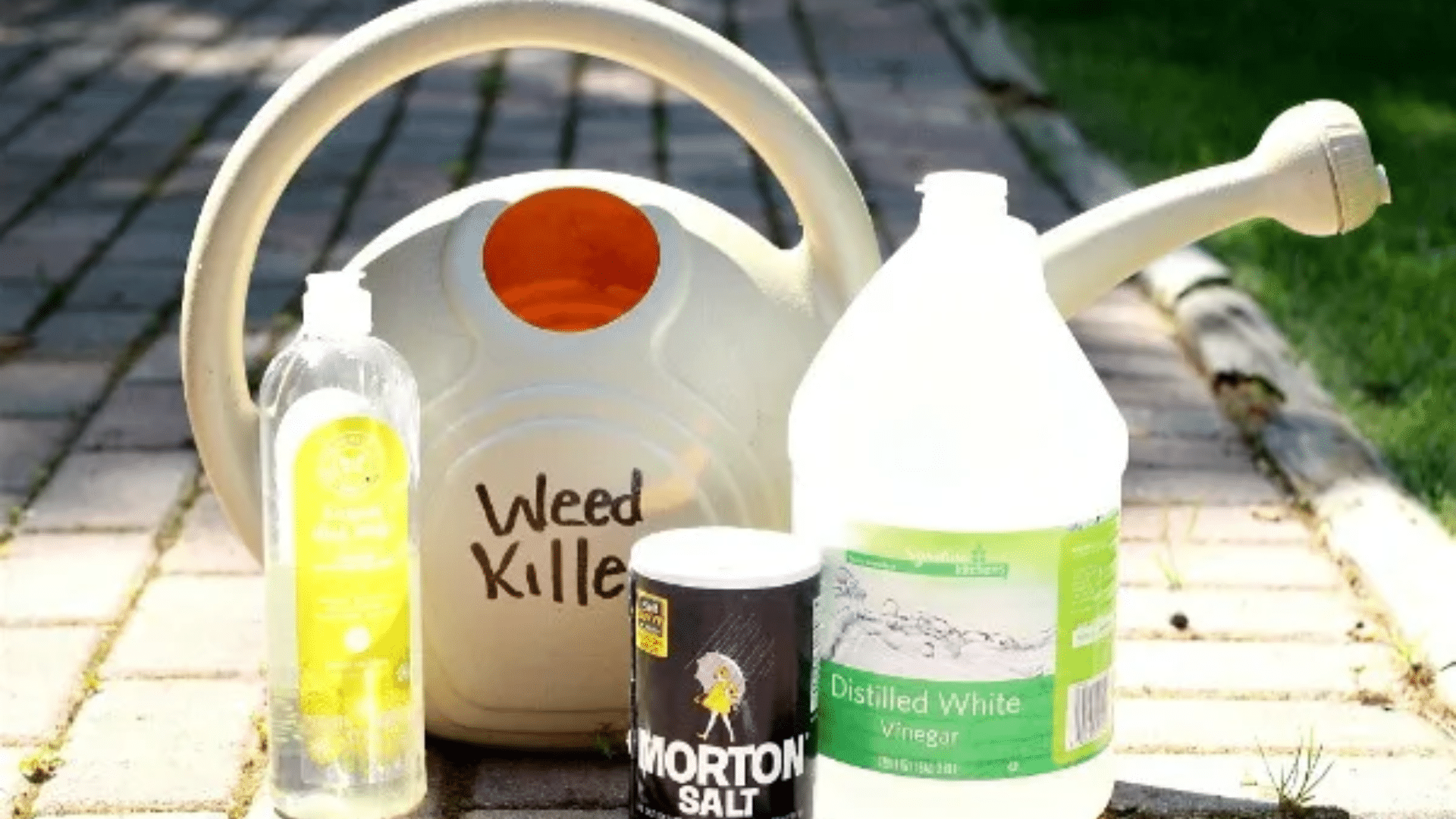 Use Natural Weed Killers