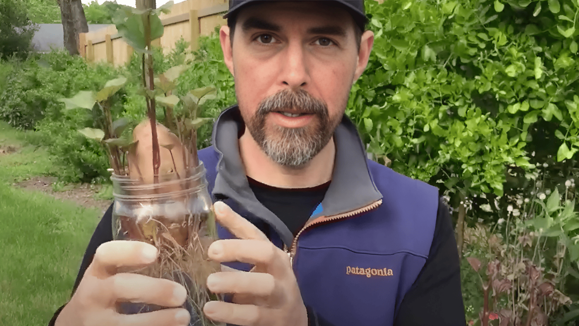 Wait for Sprouting and Root Growth