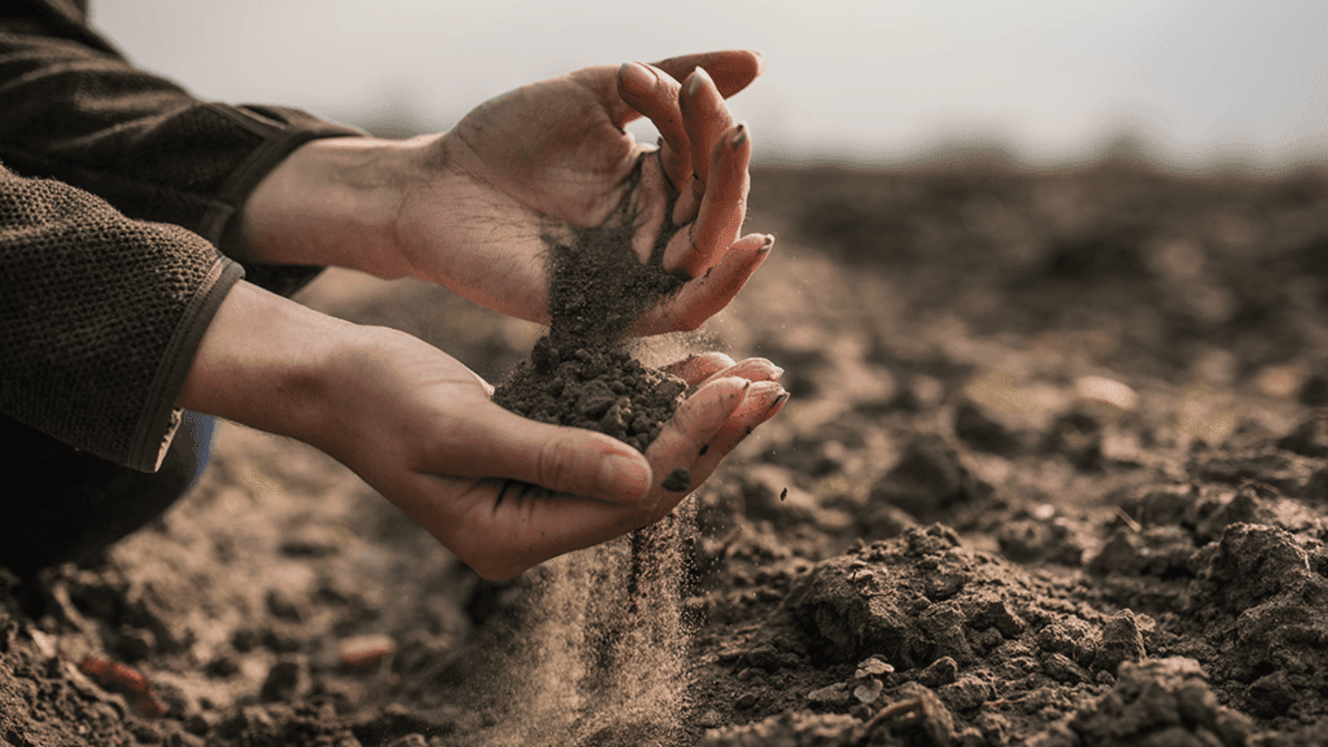 What_Is_a_Cubic_Yard_of_Topsoil