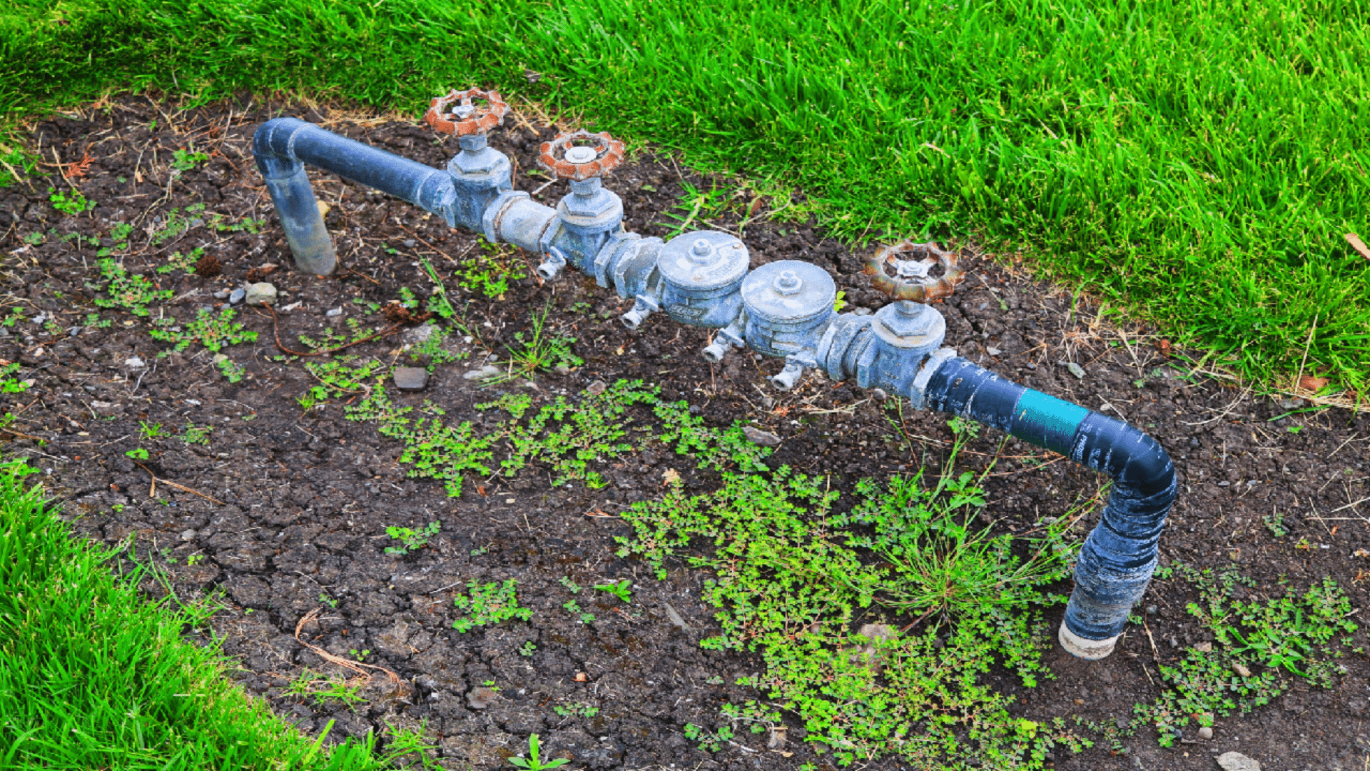 irrigation backflow testing