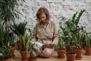 Mastering the Microclimate: Essential Tips for Greenhouse Temperature & Humidity Control