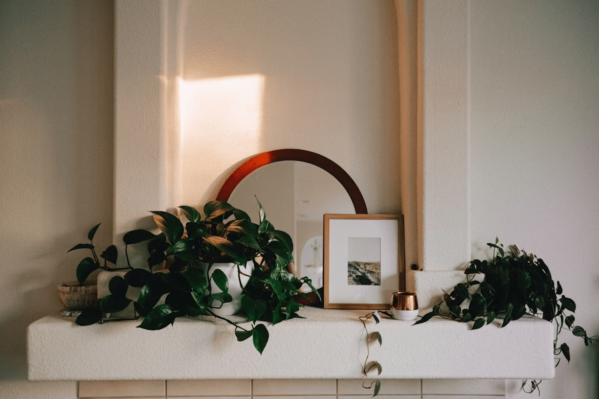 What To Do When Your Hvac Works Against Your Houseplants