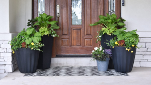 33 Front Porch Planter Ideas for Every Season