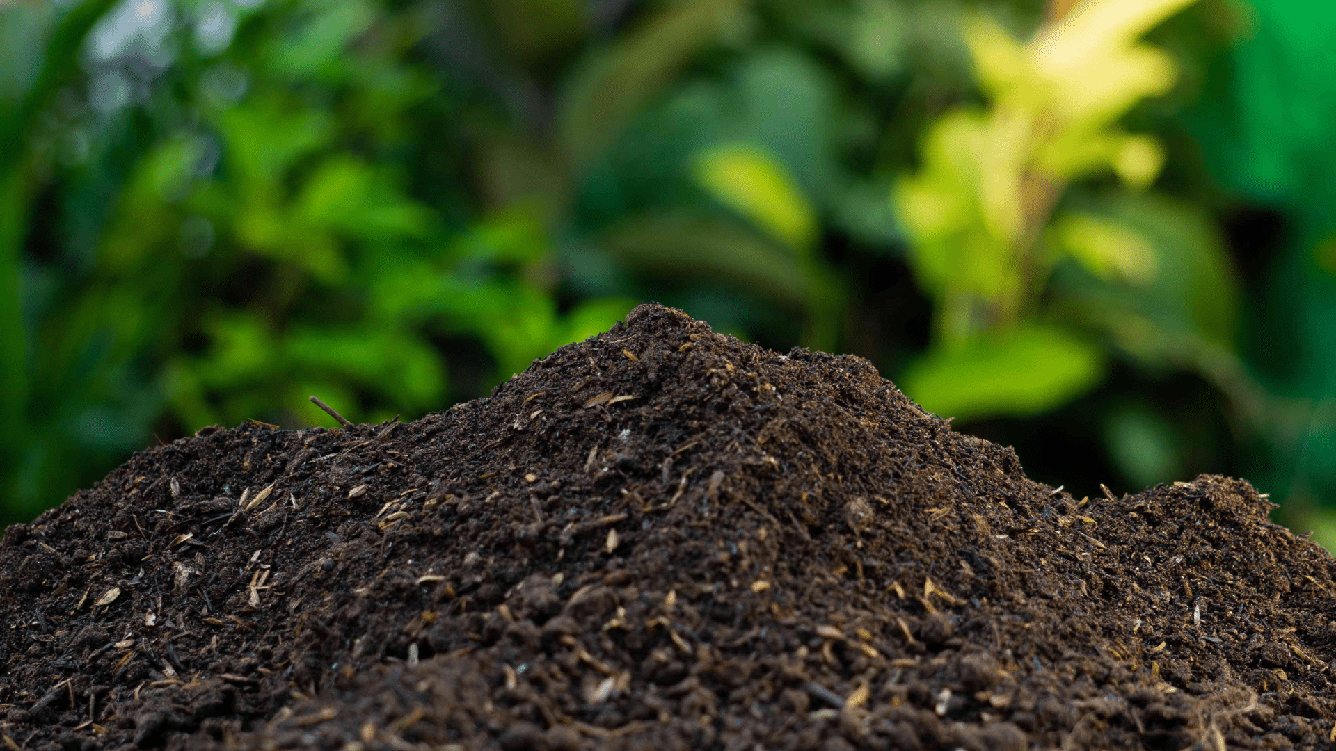 Compost