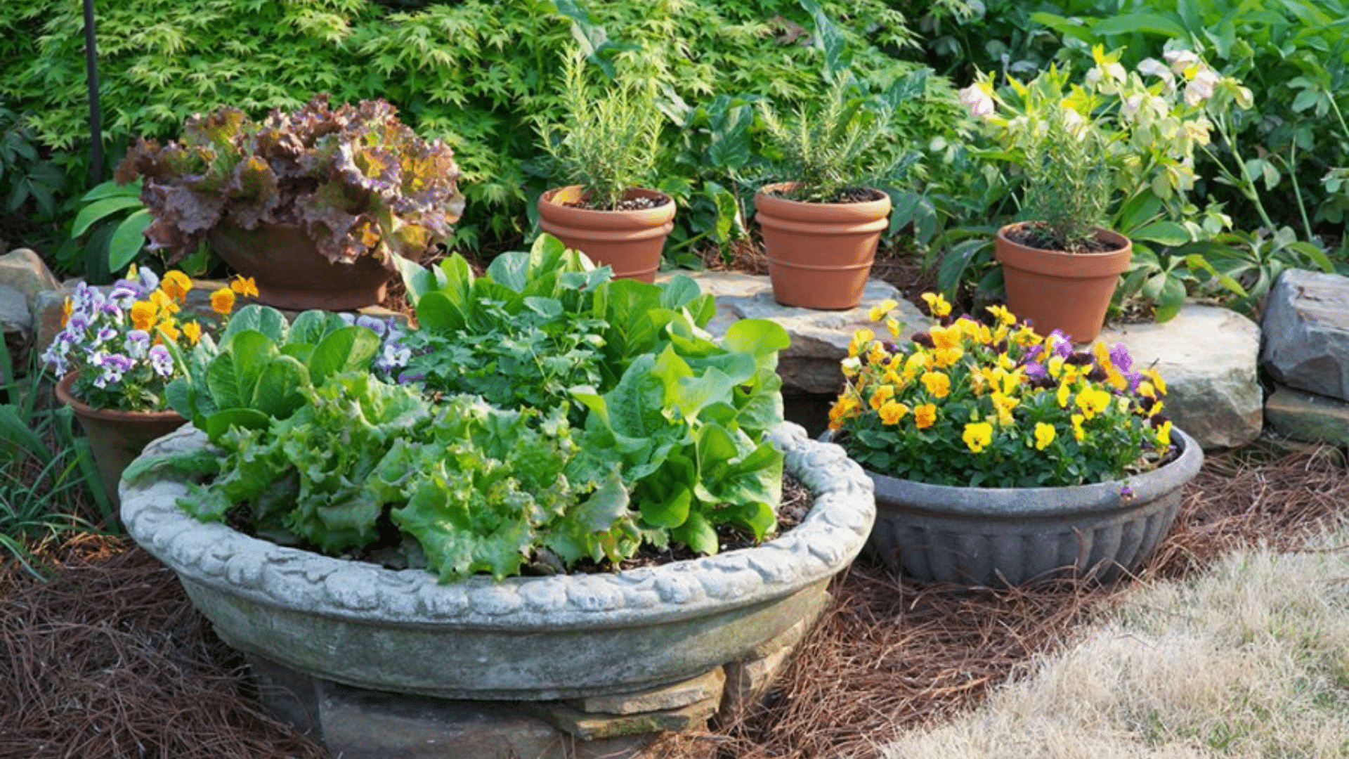 Container Gardening