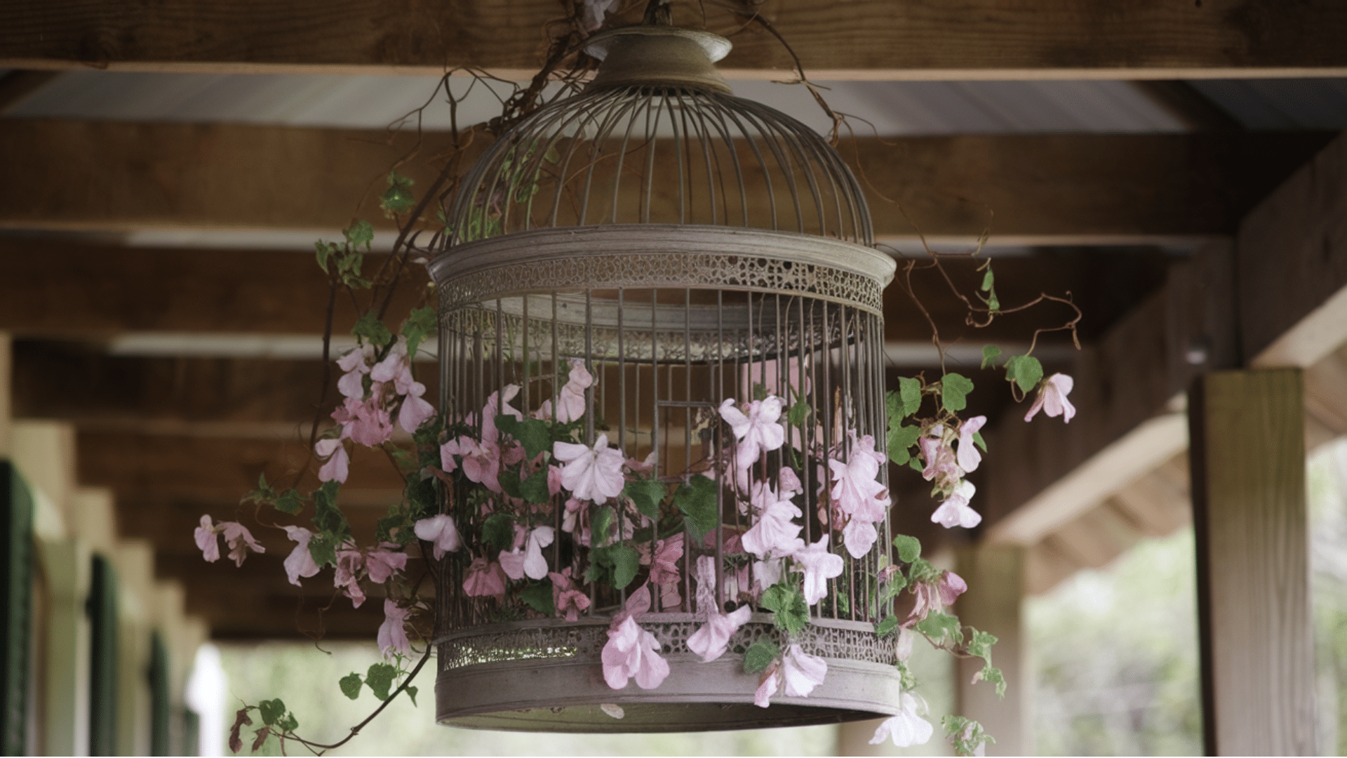 Hanging Birdcage Planter
