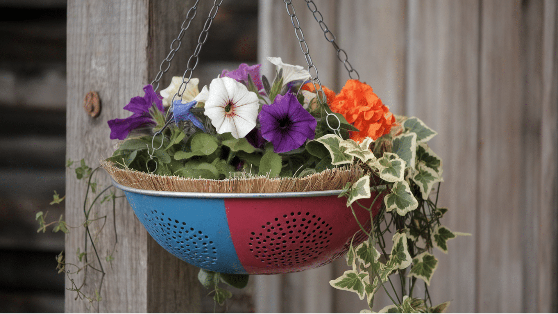 Hanging Colander Basket