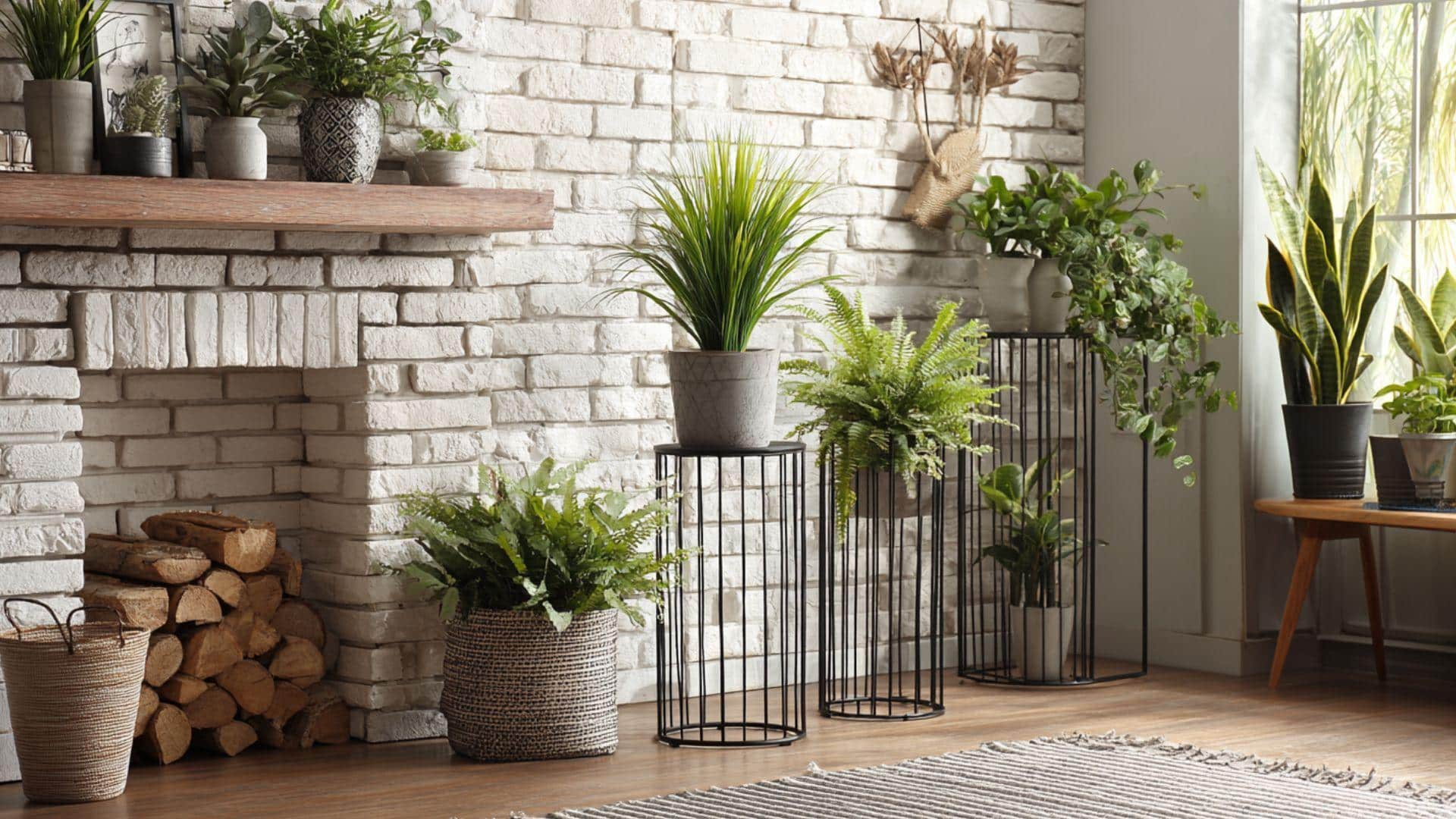 Metal Plant Stands