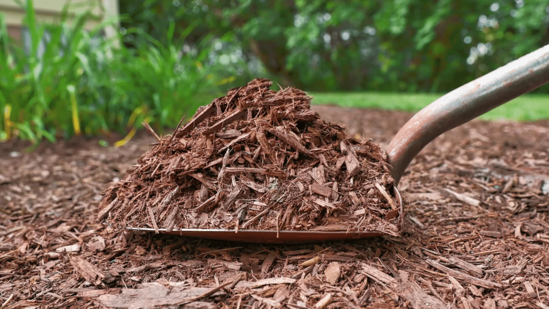 Mulch
