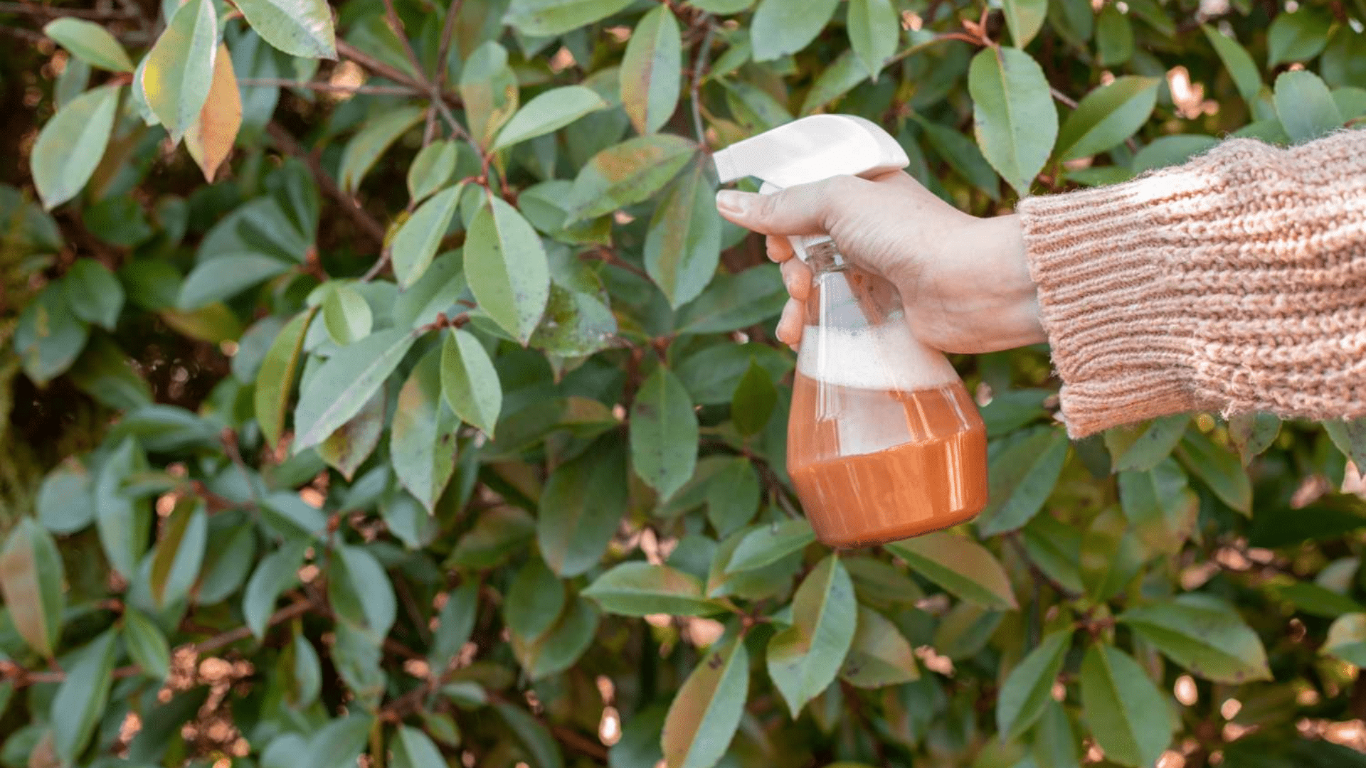 Natural Pesticide