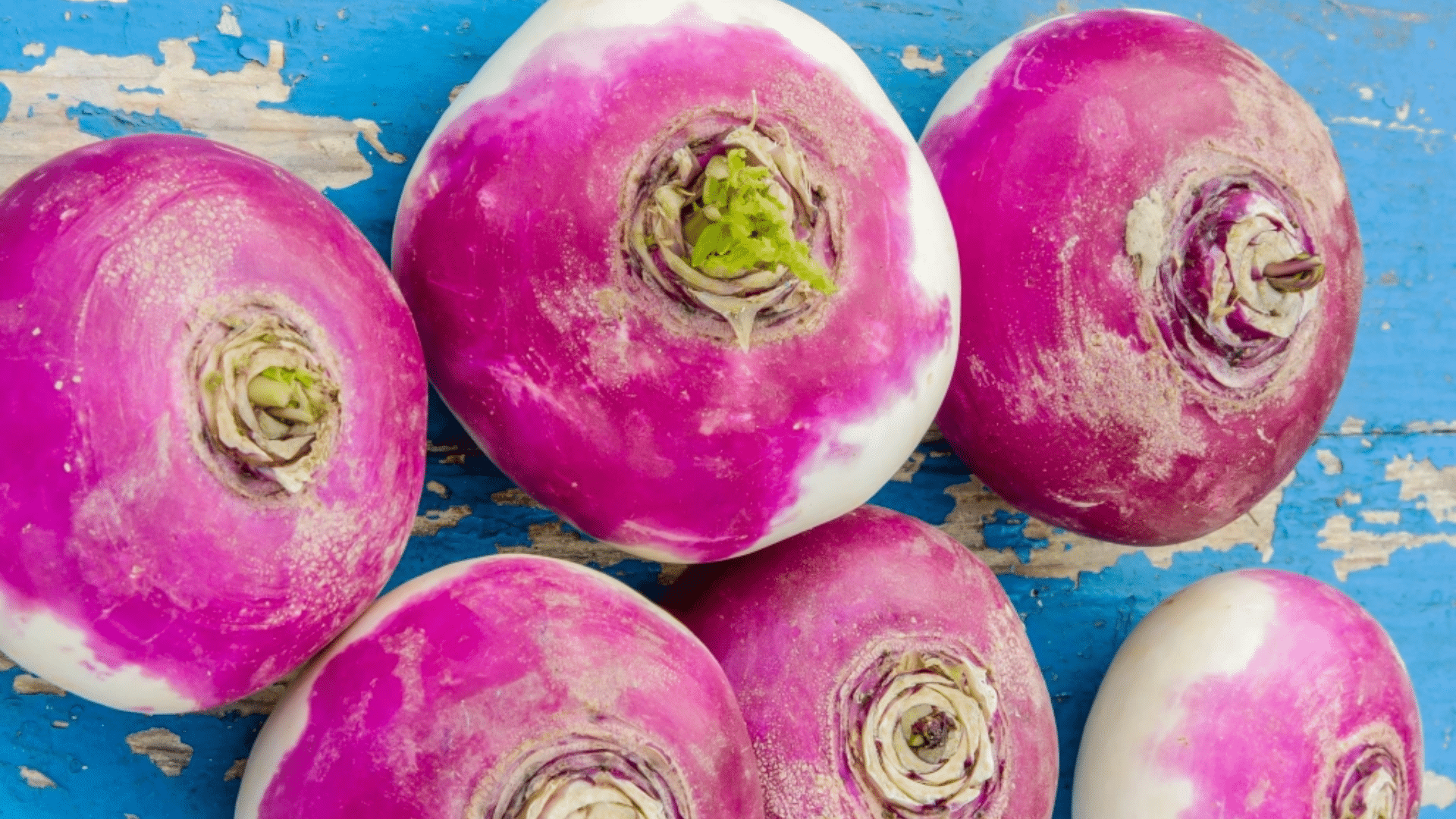 Purple Celeriac