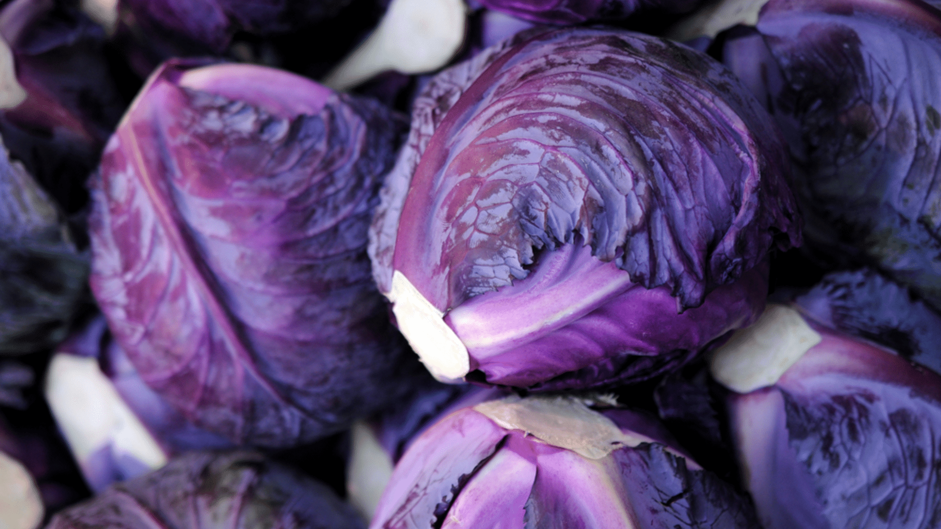 Purple Jicama