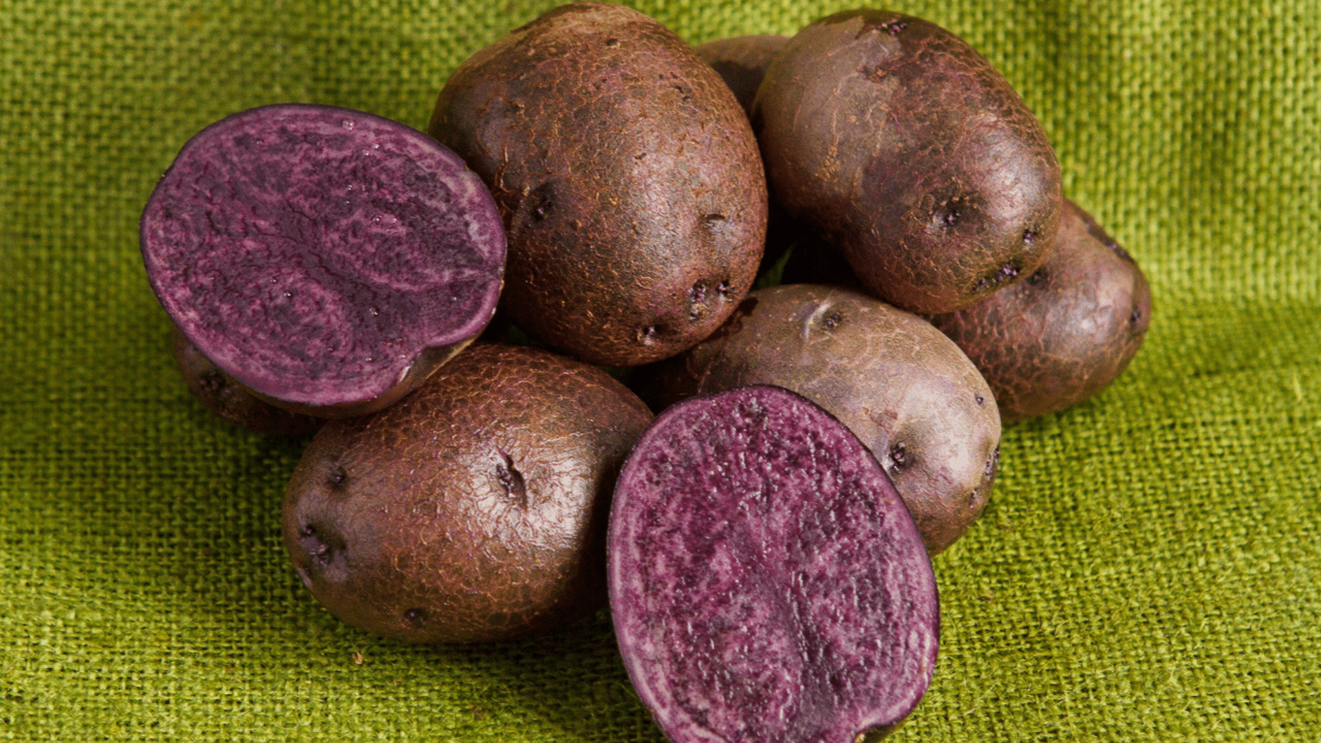 Purple Majesty Potato