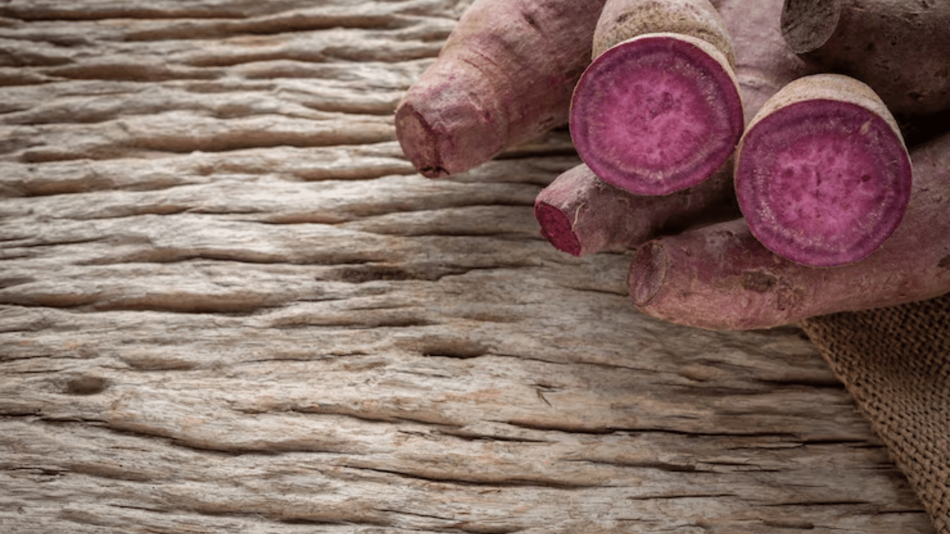 Purple Manioc
