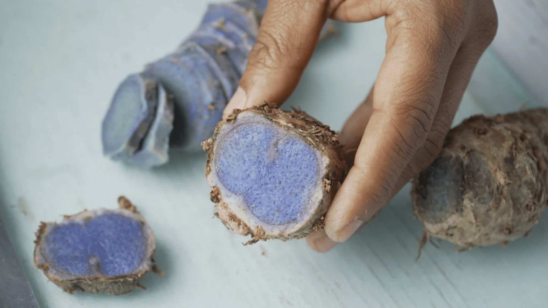 Purple Turmeric
