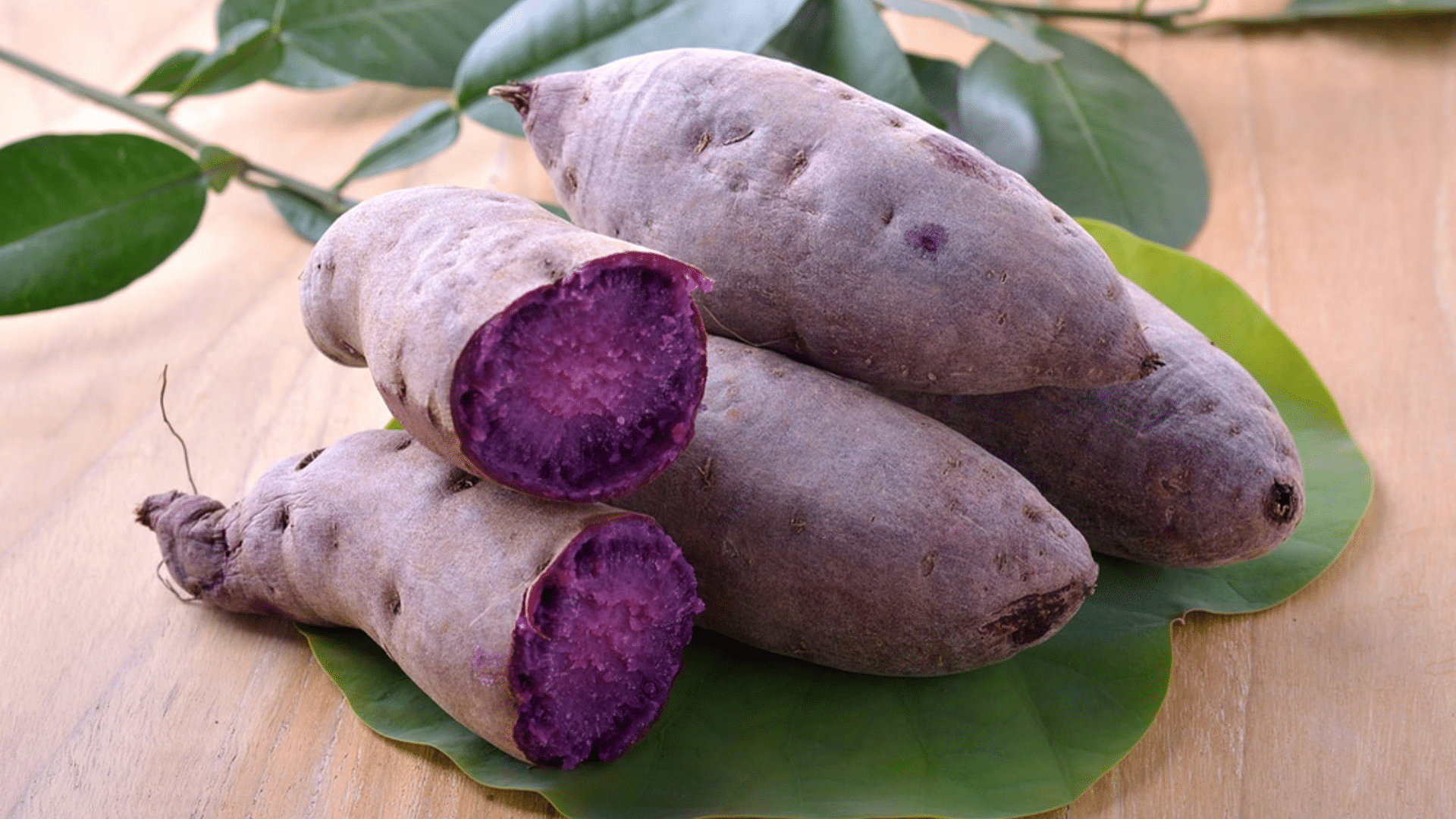 Purple Yam