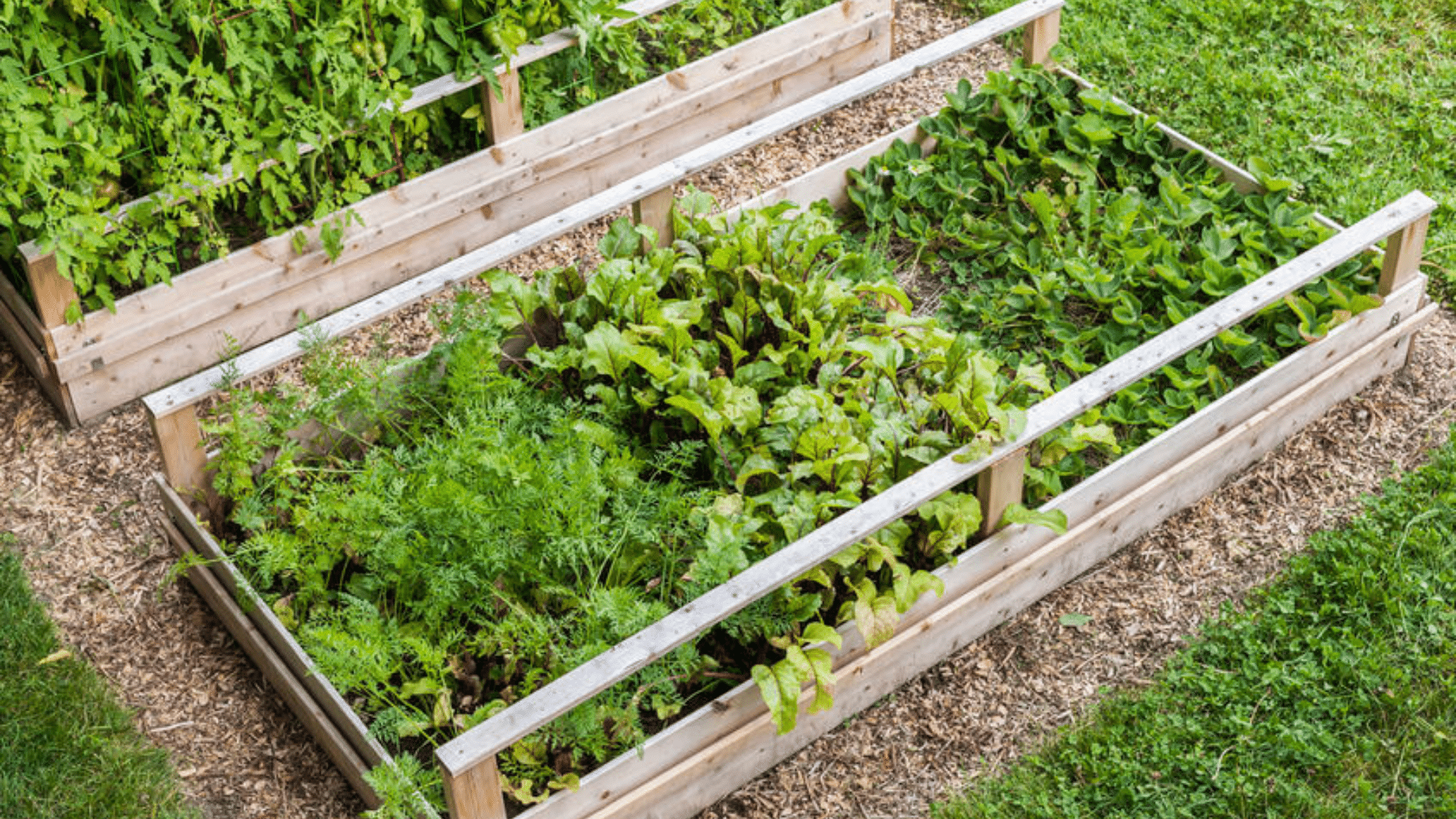 Raised Bed