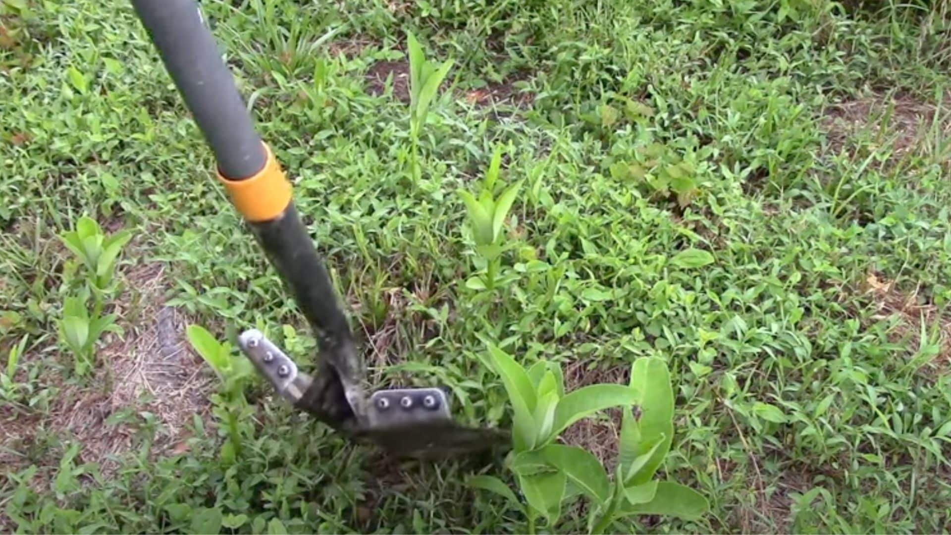 Step 2- Dig Carefully