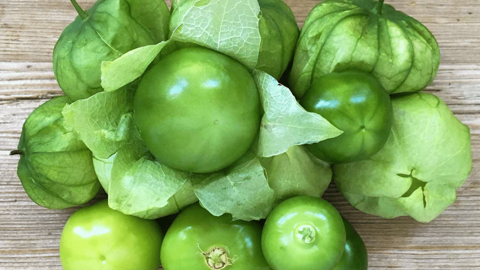 Tomatillo Growing Stages: From Seed to Harvest
