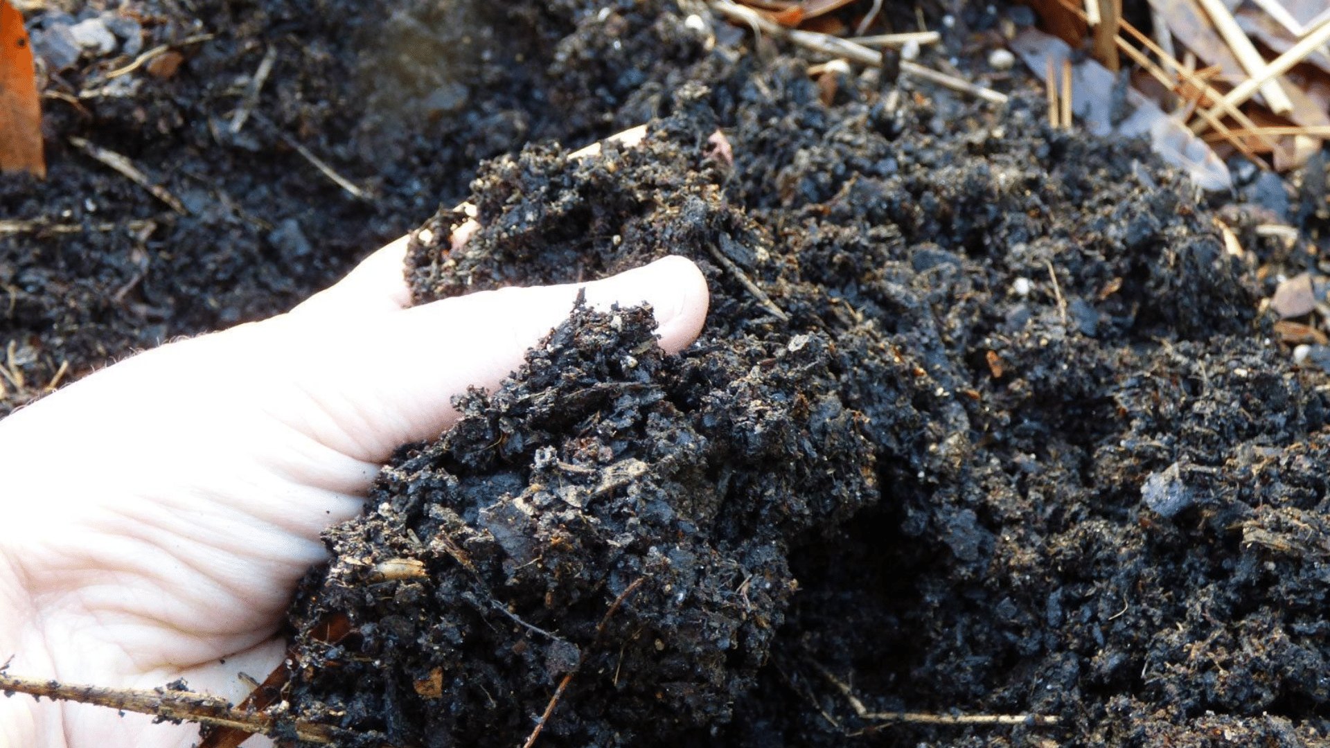Well-Drained Soil