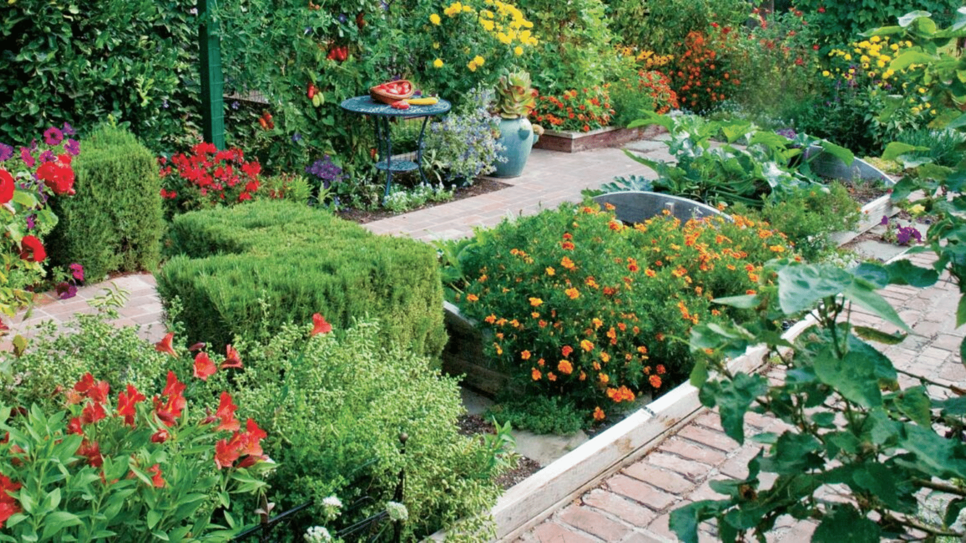 What Are the Most Important Garden Terms to Know?