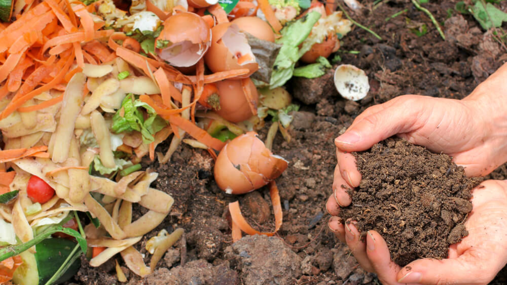What to Include on Your Printable Compost List