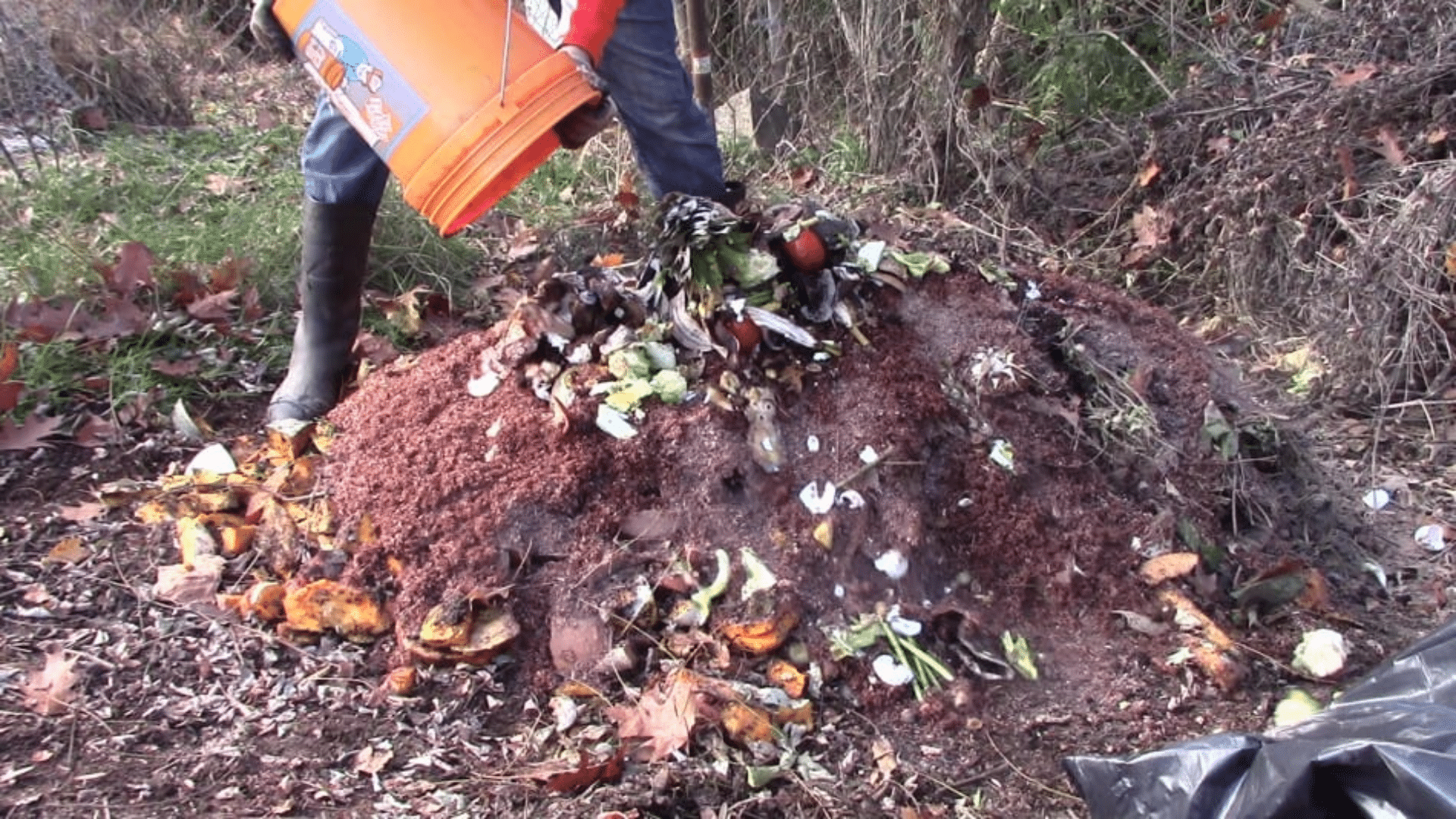 Why Use a Printable Compost List?