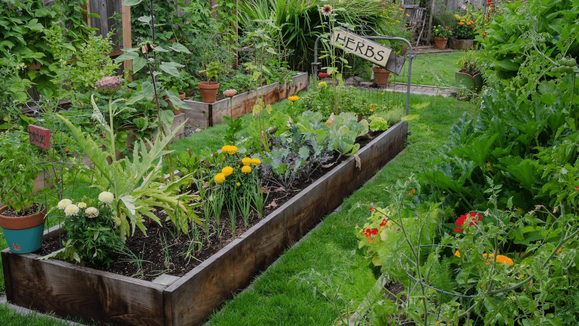Why Know Your Garden Terms?