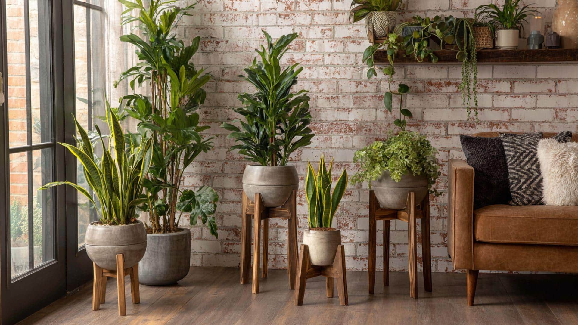 Wooden Plant Stands for Display